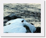 19 dipper in kutuniva * 1931 x 1571 * (2.53MB)